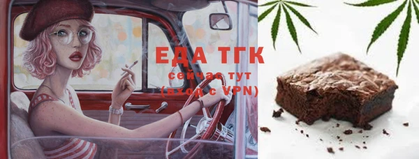 индика Елизово