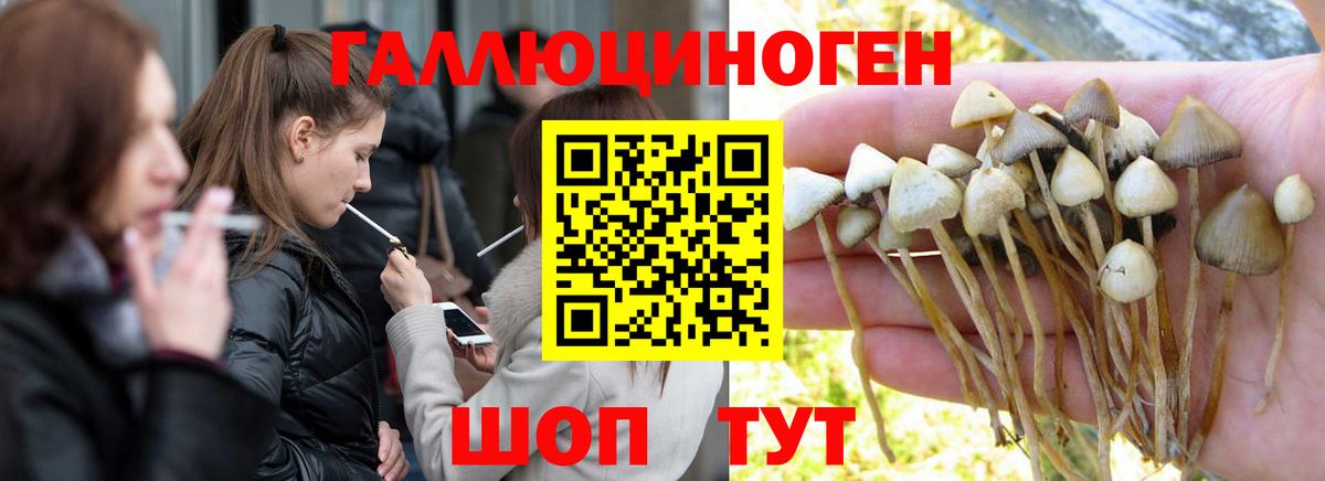 Псилоцибиновые грибы мухоморы  Галлюциногенные грибы мухоморы  цены наркотик  Всеволожск  Вход с VPN 